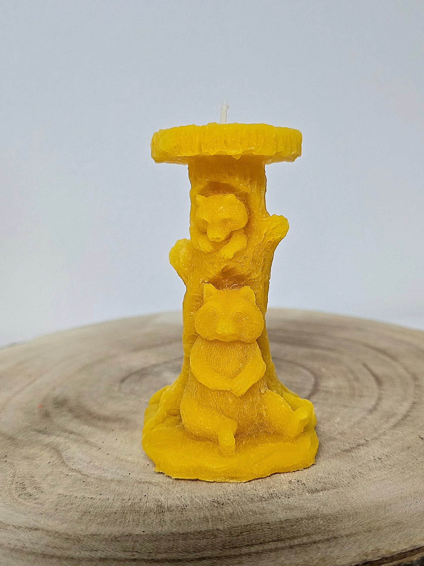Bienenwachskerze Motiv: "Waschbär"
